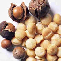 Macadamia nuts. Source: Internet.